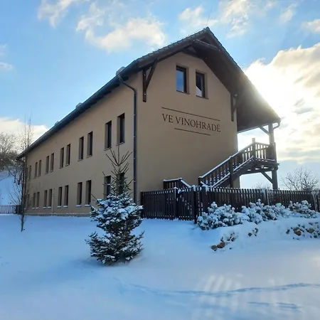 Ve Vinohradě *