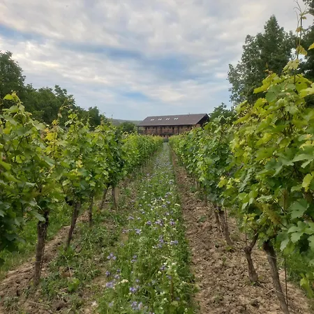 Ve Vinohradě Gasthof *