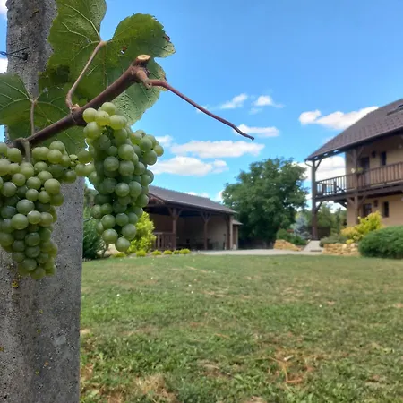 Ve Vinohradě *