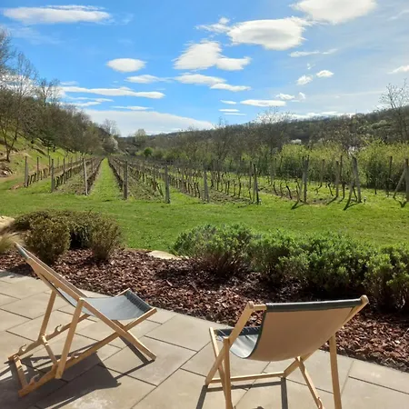 Ve Vinohrade בית הארחה 3*