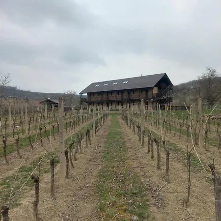 Ve Vinohradě Gasthof Němčičky