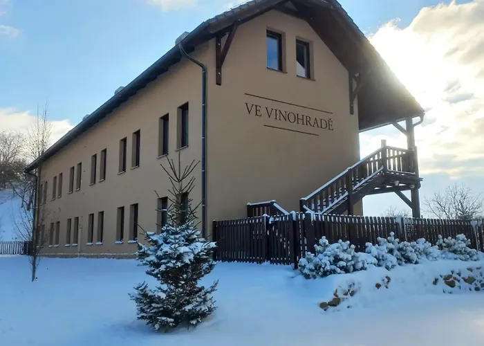 Ve Vinohrade 3*