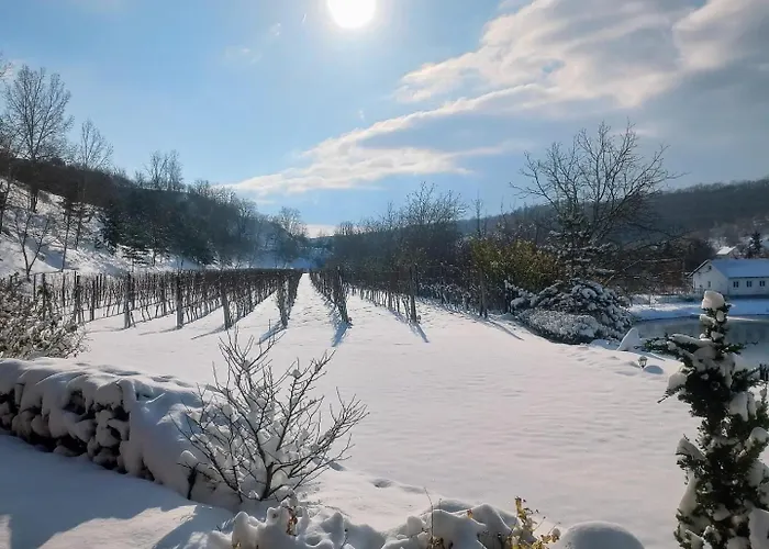 Maison d'hôtes Ve Vinohrade Němčičky