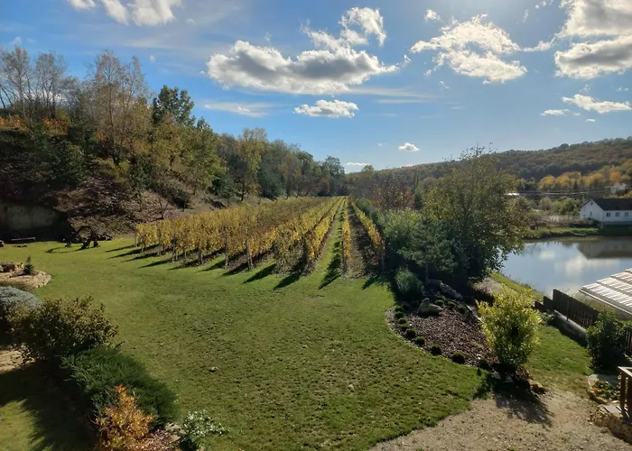 Maison d'hôtes Ve Vinohrade 3*