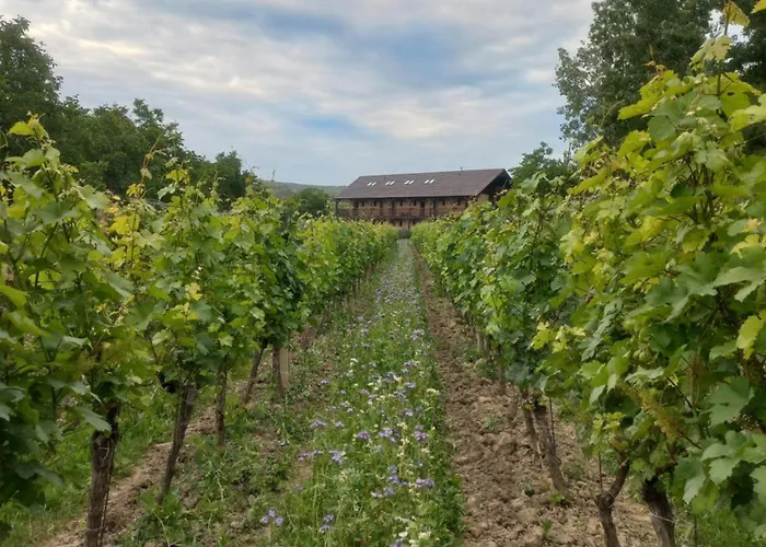 Ve Vinohrade Maison d'hôtes 3*