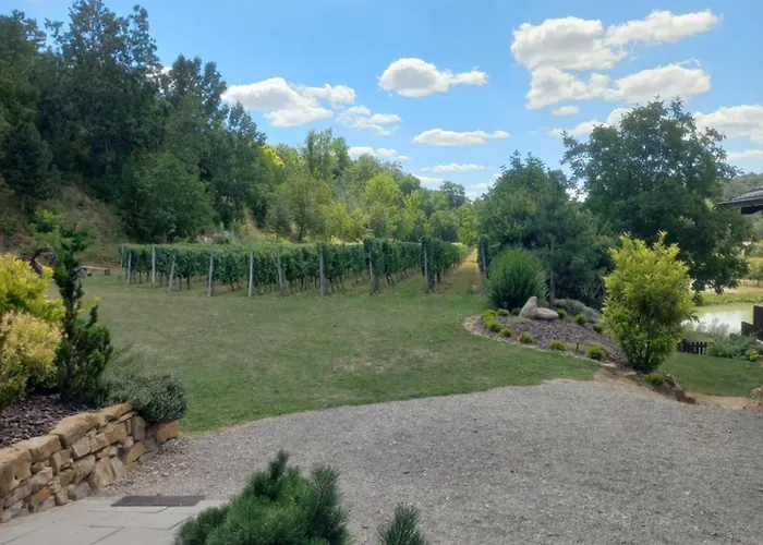 Ve Vinohrade Maison d'hôtes Němčičky