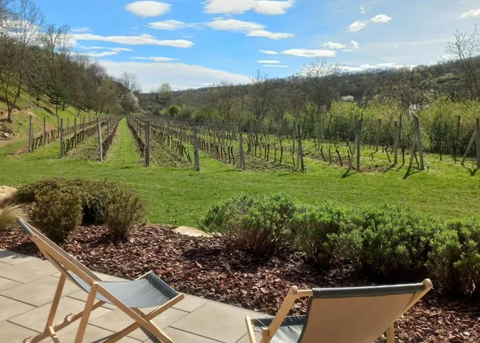 Ve Vinohrade Maison d'hôtes 3*