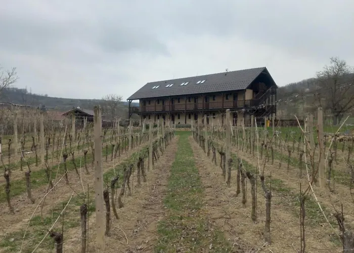 Ve Vinohrade Maison d'hôtes Němčičky