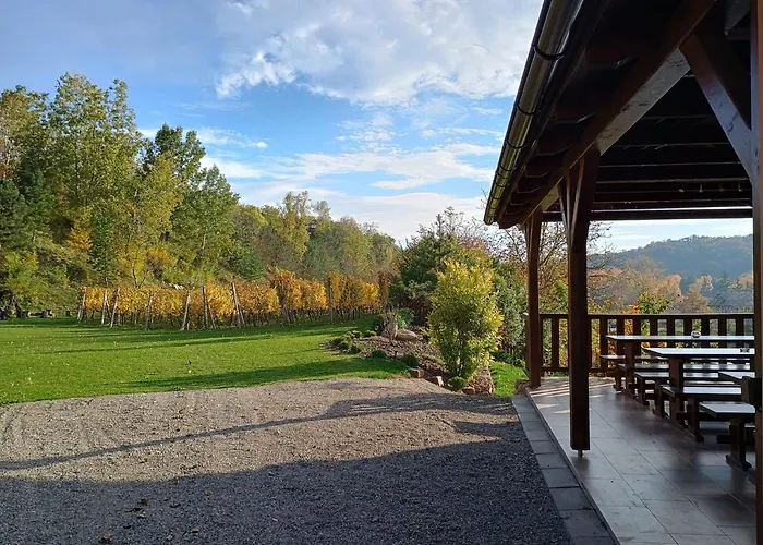 Maison d'hôtes Ve Vinohrade Němčičky