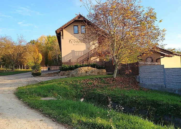 Maison d'hôtes Ve Vinohrade 3*