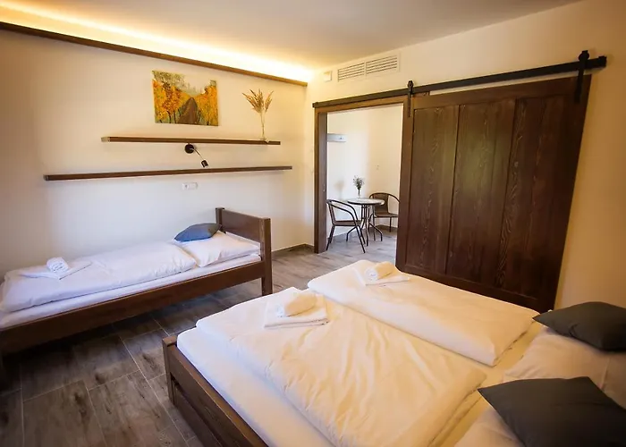 Maison d'hôtes Ve Vinohrade Němčičky